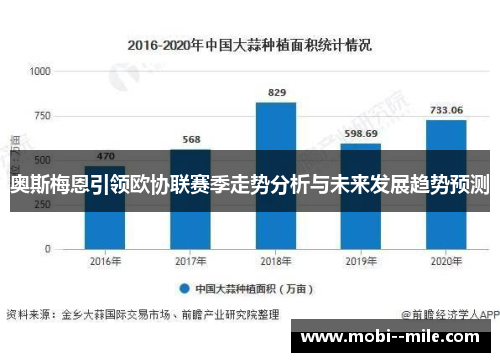 奥斯梅恩引领欧协联赛季走势分析与未来发展趋势预测 奥斯梅恩引领欧协联赛季走势分析与未来发展趋势预测
