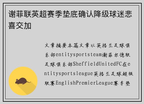 谢菲联英超赛季垫底确认降级球迷悲喜交加